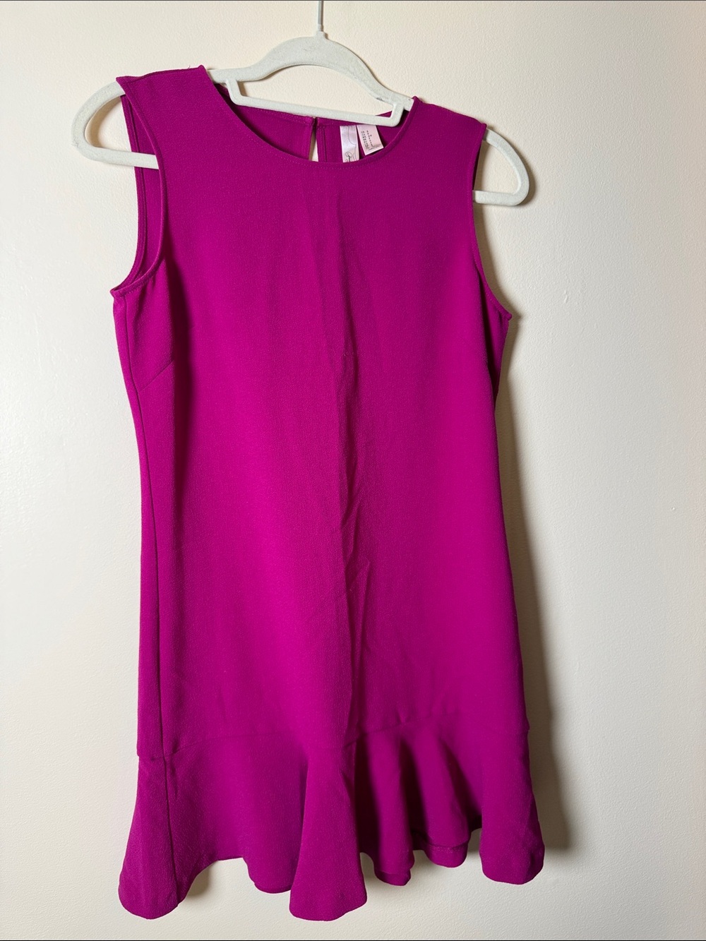 Forever 21 Sleeveless Fuchsia Flounce Hem Mini Dress